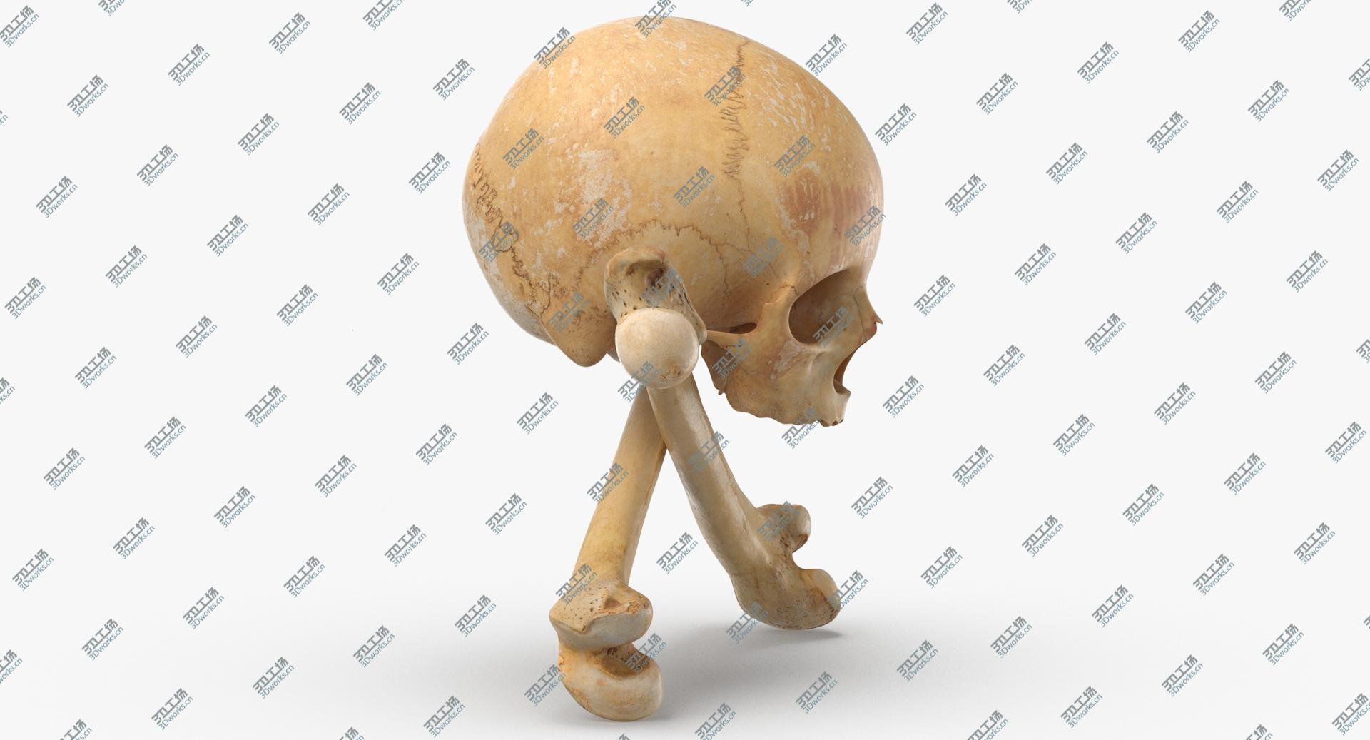 images/goods_img/202104091/3D model Pirate Skull and Bones Composition 02/5.jpg